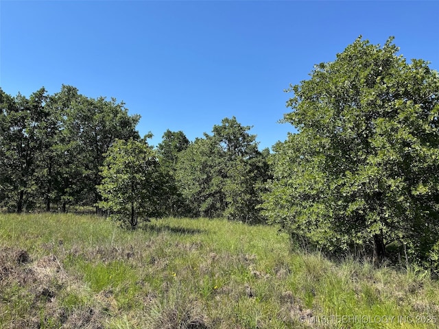2668 Buckhorn Rd, Healdton, OK 73438 - photo 41