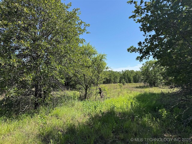 2668 Buckhorn Rd, Healdton, OK 73438 - photo 19
