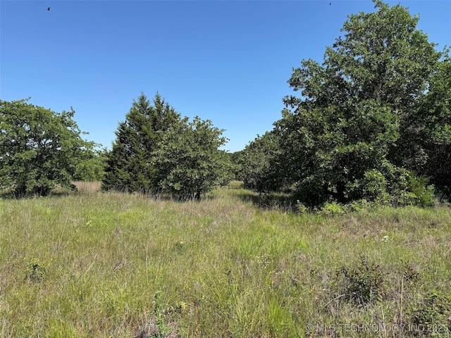 2668 Buckhorn Rd, Healdton, OK 73438 - photo 20