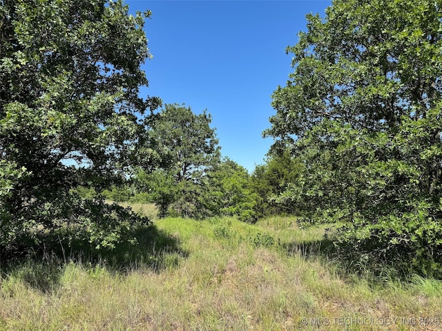 2668 Buckhorn Rd, Healdton, OK 73438 - photo 21