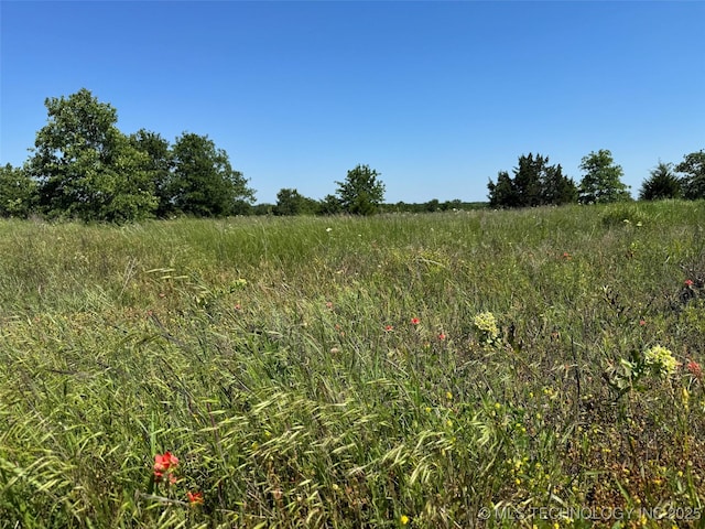 2668 Buckhorn Rd, Healdton, OK 73438 - photo 22