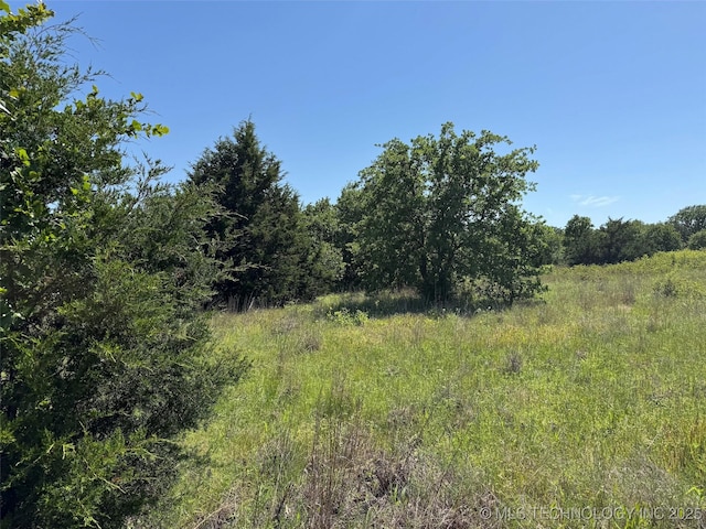 2668 Buckhorn Rd, Healdton, OK 73438 - photo 24