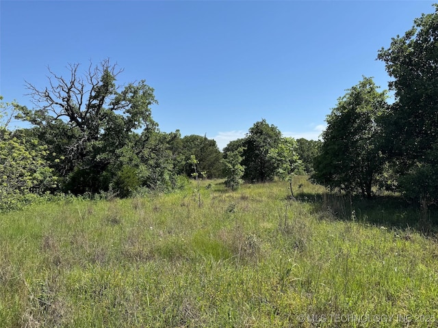 2668 Buckhorn Rd, Healdton, OK 73438 - photo 26