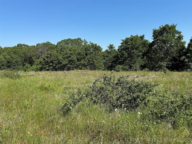 2668 Buckhorn Rd, Healdton, OK 73438 - photo 29