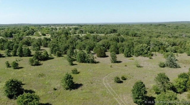 2668 Buckhorn Rd, Healdton, OK 73438 - photo 44