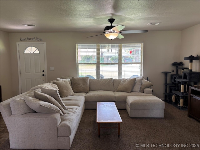178 Sonora St, Lone Grove, OK 73401 - photo 3