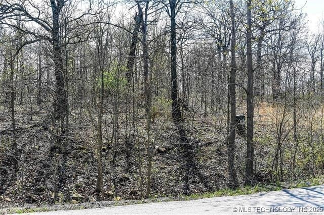Scenic Cir, Skiatook, OK 74070 - photo 4