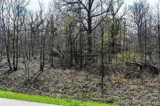 Scenic Cir, Skiatook, OK 74070 - photo 5