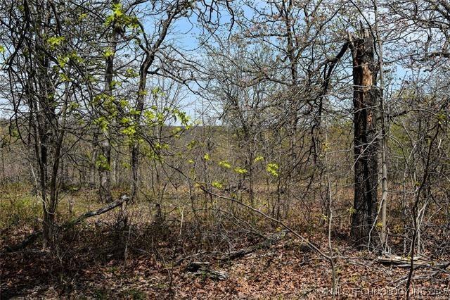 Scenic Cir, Skiatook, OK 74070 - photo 6