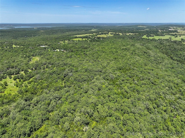 98399 S 4503rd Rd, Vian, OK 74962 - photo 69