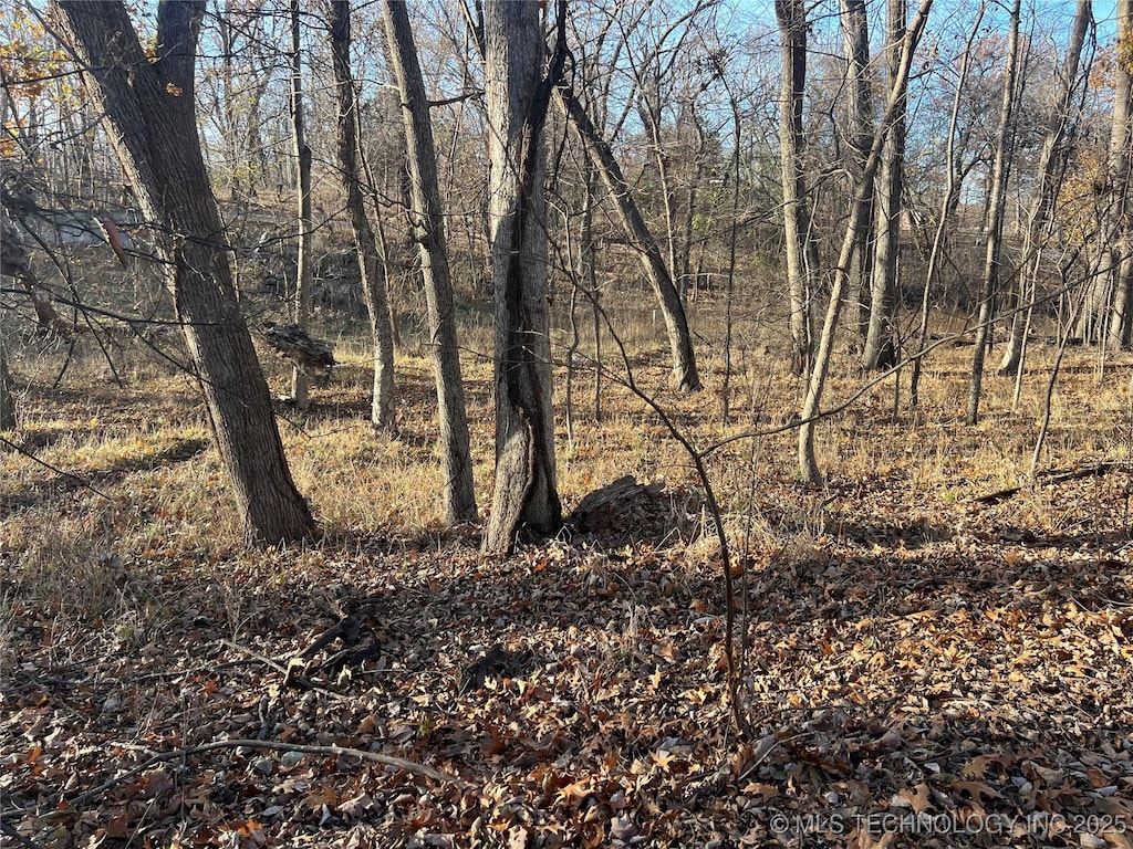 0 Vinita Cir, Monkey Island, OK 74331 - photo 1