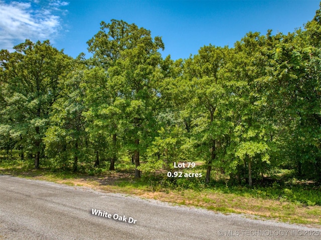 White Oak Rd, Cartwright, OK 74731 - photo 10