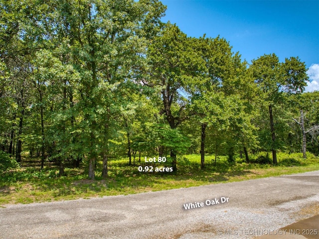 White Oak Rd, Cartwright, OK 74731 - photo 12