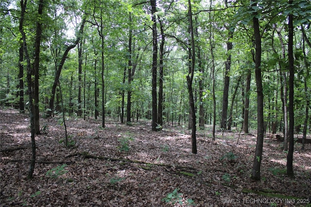 54580 E 355th Rd, Jay, OK 74346 - photo 25