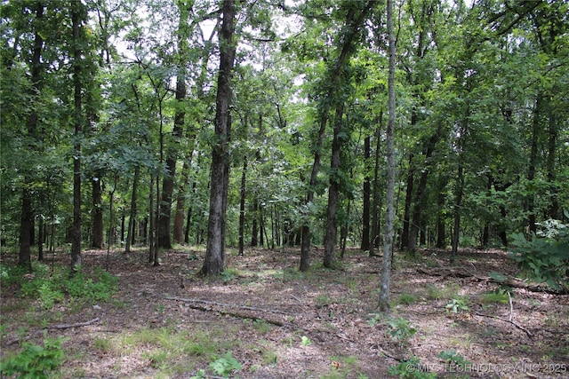 54580 E 355th Rd, Jay, OK 74346 - photo 28