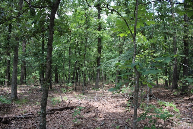 54580 E 355th Rd, Jay, OK 74346 - photo 29