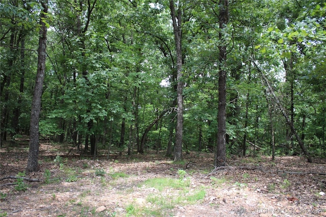 54580 E 355th Rd, Jay, OK 74346 - photo 34