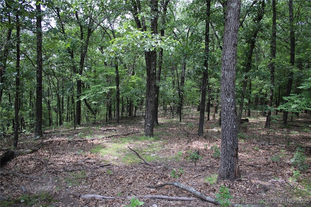 54580 E 355th Rd, Jay, OK 74346 - photo 35