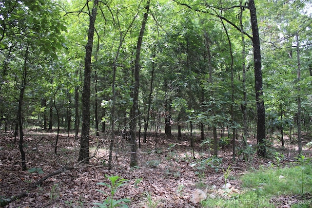 54580 E 355th Rd, Jay, OK 74346 - photo 39