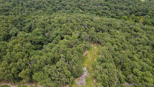 54580 E 355th Rd, Jay, OK 74346 - photo 8