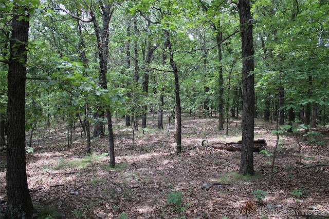 54580 E 355th Rd, Jay, OK 74346 - photo 20