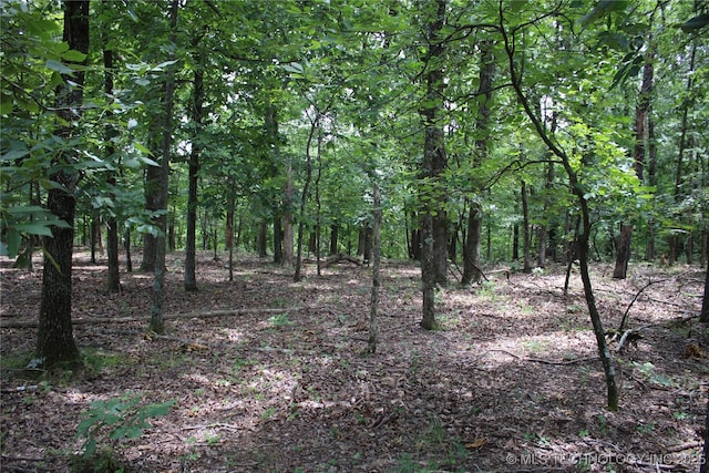 54580 E 355th Rd, Jay, OK 74346 - photo 21