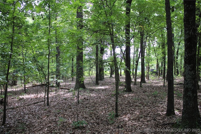 54580 E 355th Rd, Jay, OK 74346 - photo 22