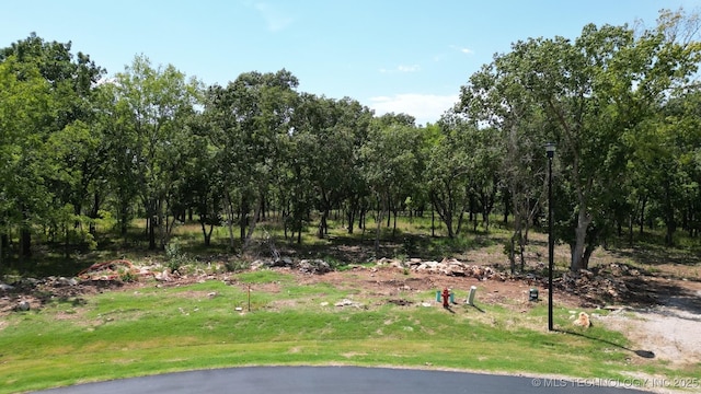 17686 E Falcon Pass, Owasso, OK 74055 - photo 2
