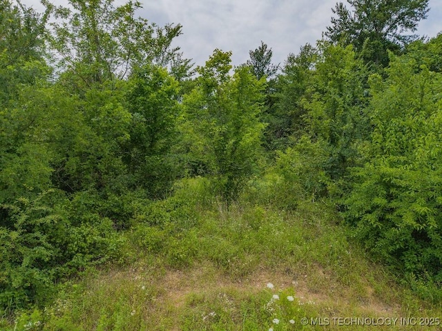 15747 Central St, Fort Coffee, OK 74959 - photo 5