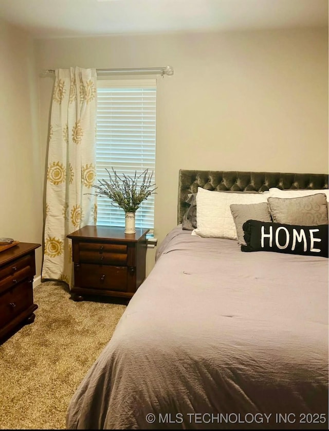 908 Dahlia, Noble, OK 73068 - photo 17