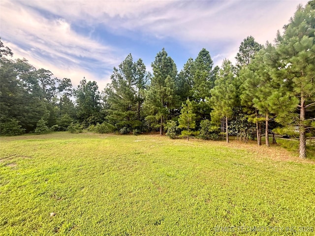 98336 S 4503rd Rd, Vian, OK 74962 - photo 26