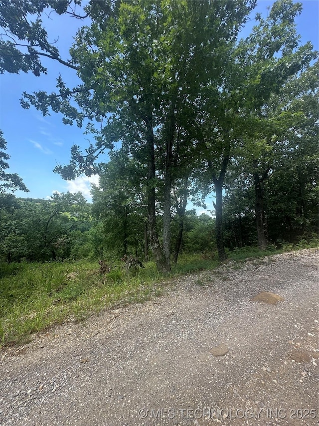 4 W Running Springs Rd, Park Hill, OK 74451 - photo 3