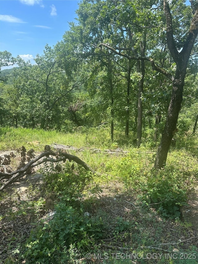 4 W Running Springs Rd, Park Hill, OK 74451 - photo 4