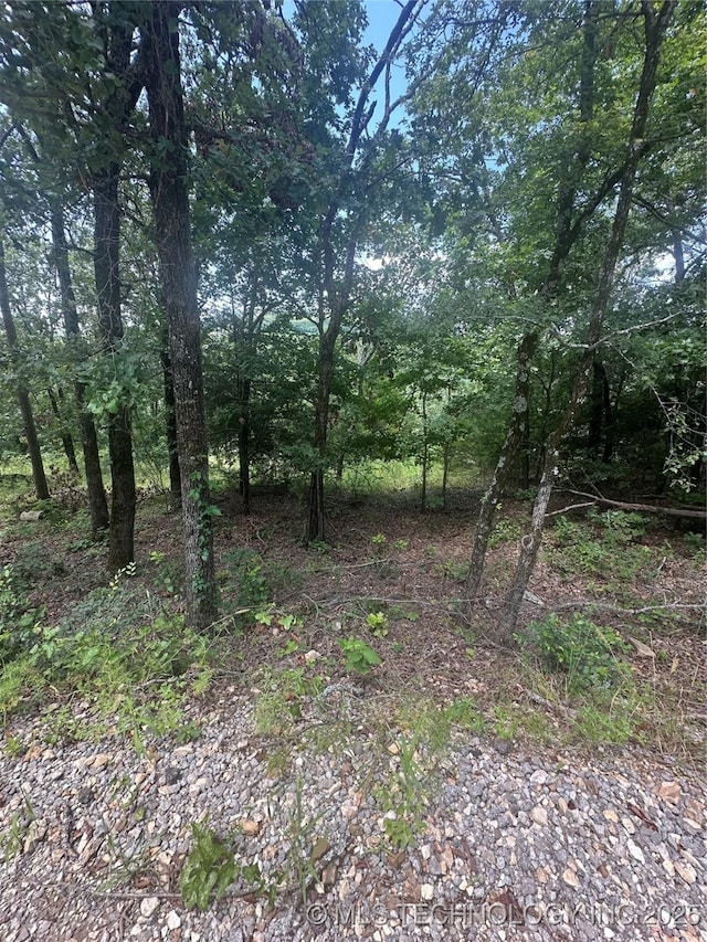 4 W Running Springs Rd, Park Hill, OK 74451 - photo 9