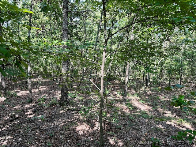 S 510 Road, Tahlequah, OK 74464 - photo 16