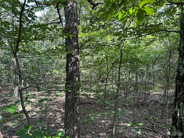 S 510 Road, Tahlequah, OK 74464 - photo 19