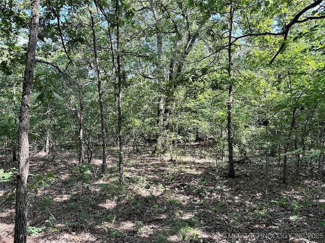 S 510 Road, Tahlequah, OK 74464 - photo 20
