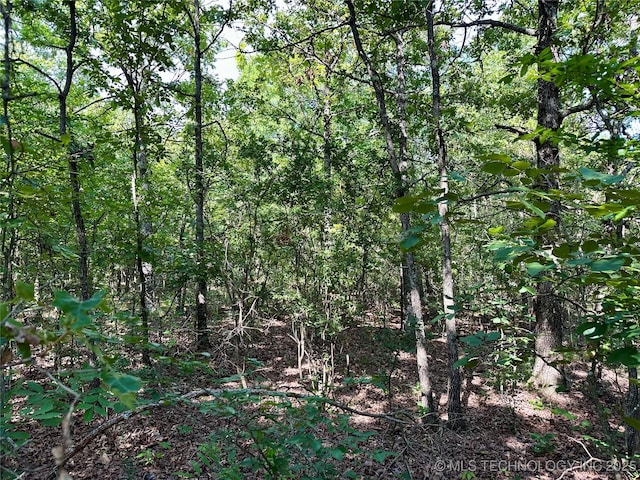 S 510 Road, Tahlequah, OK 74464 - photo 21