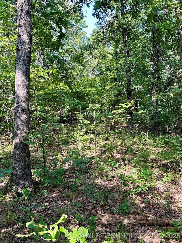 S 510 Road, Tahlequah, OK 74464 - photo 22