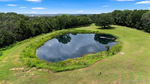 15505 County Road 3580, Ada, OK 74820 - photo 61