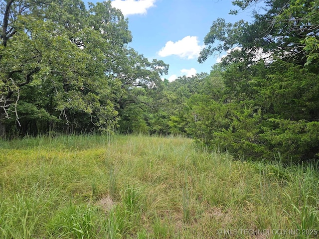 Hickory Hill Dr, Sulphur, OK 73086 - photo 2
