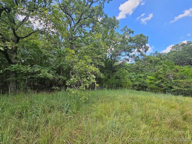 Hickory Hill Dr, Sulphur, OK 73086 - photo 3