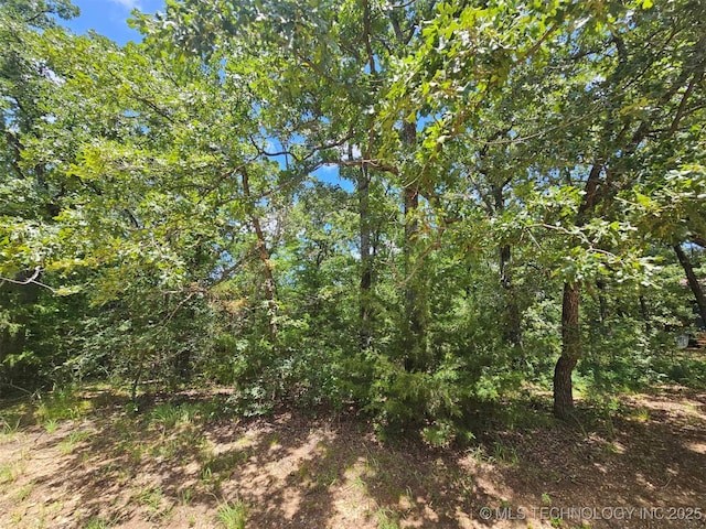 Hickory Hill Dr, Sulphur, OK 73086 - photo 4