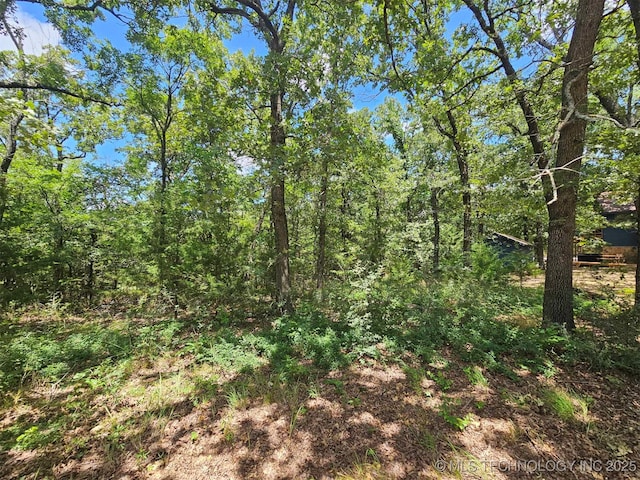 Hickory Hill Dr, Sulphur, OK 73086 - photo 5
