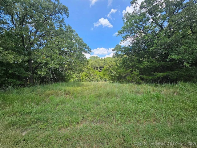 Hickory Hill Dr, Sulphur, OK 73086 - photo 10