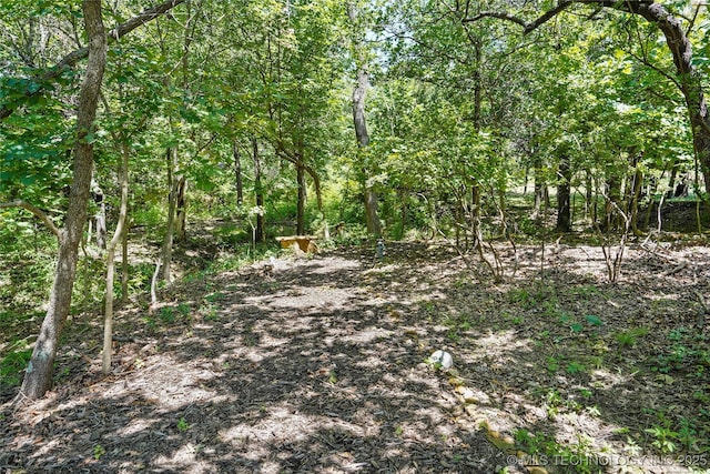 1702 Old N Pl, Sand Springs, OK 74063 - photo 44