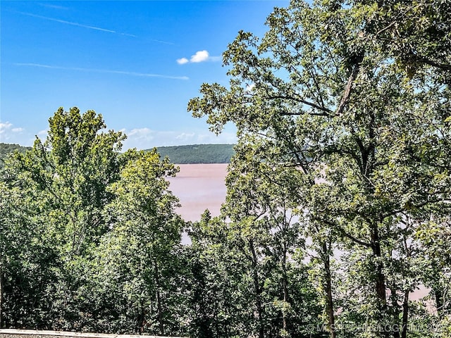 5 Rose Way, Stigler, OK 74462 - photo 3