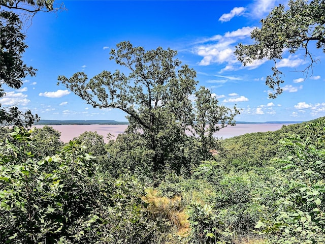 5 Rose Way, Stigler, OK 74462 - photo 4