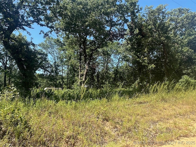 1 Driftwood Rd, Kingston, OK 73439 - photo 1