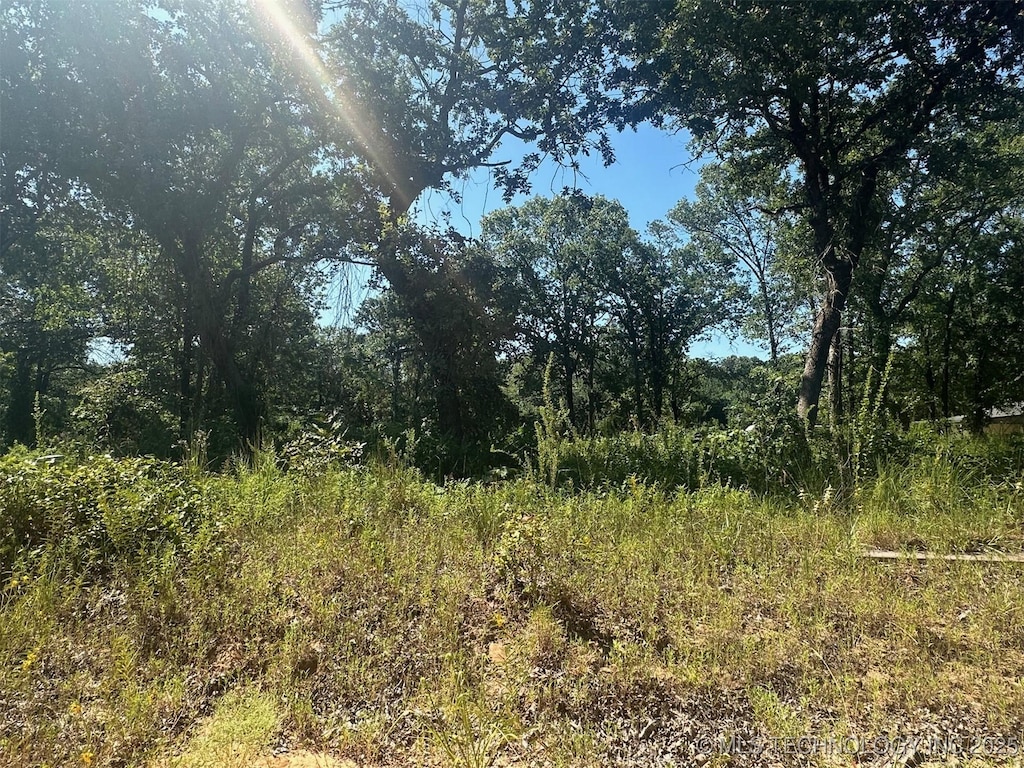 1 Driftwood Rd, Kingston, OK 73439 - photo 2